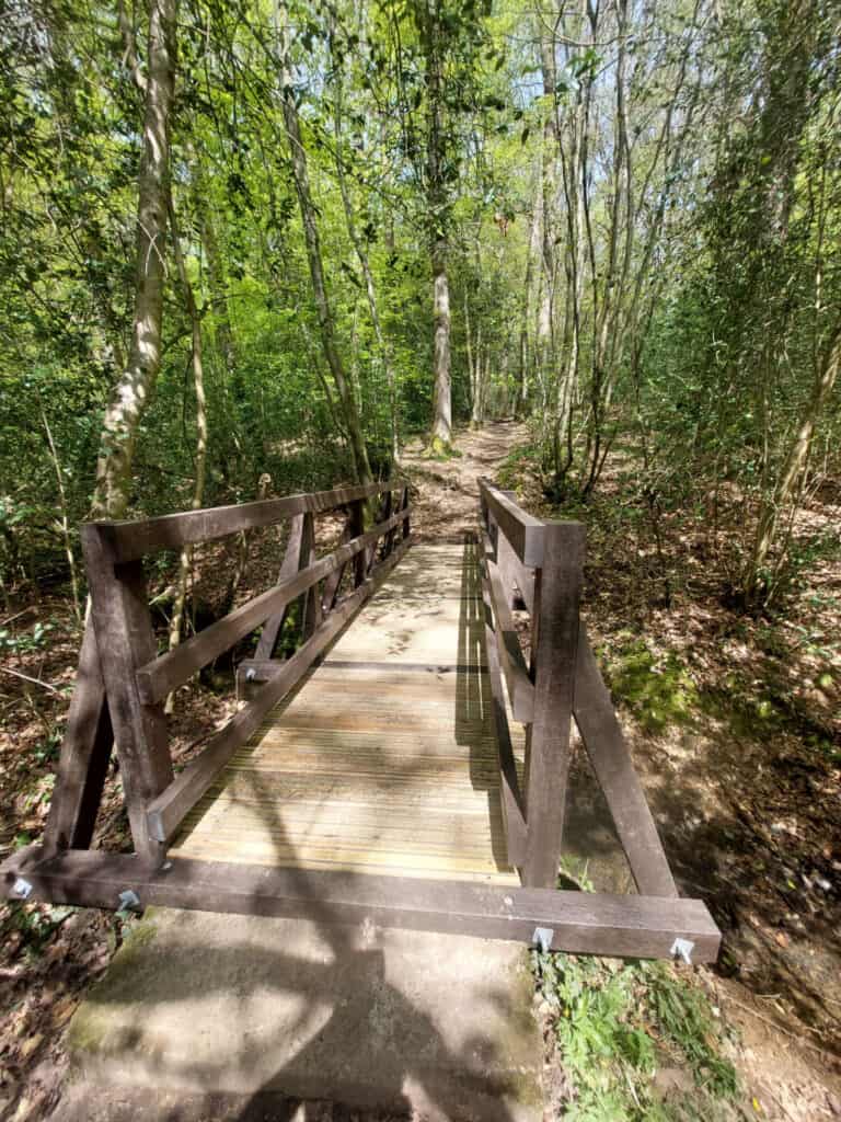 Principle Carpentry - Bridge