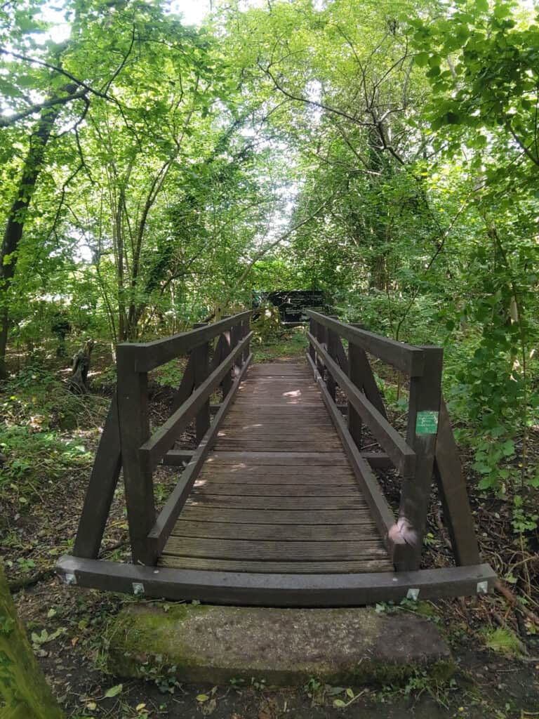 Principle Carpentry - Bridge
