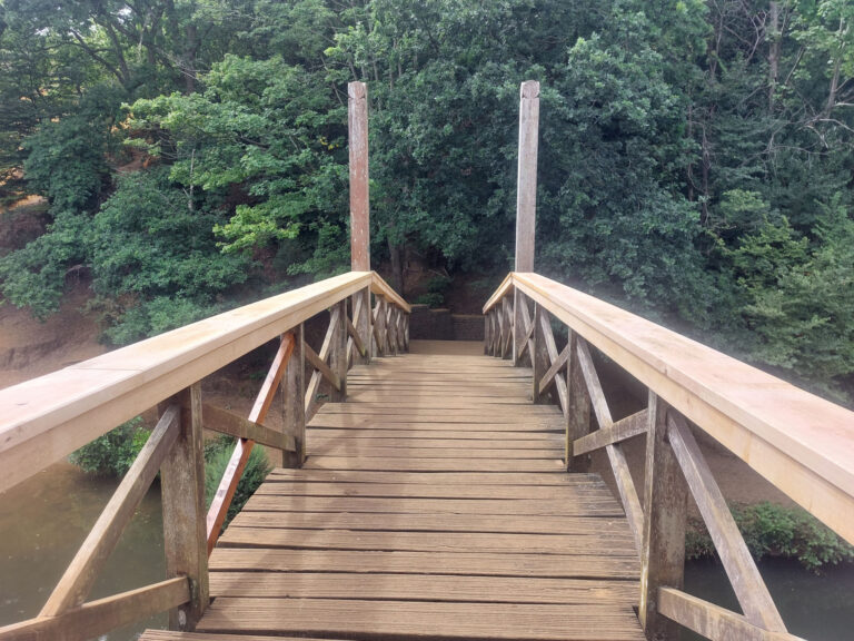 Principle Carpentry - Bridge Replacement Handrail