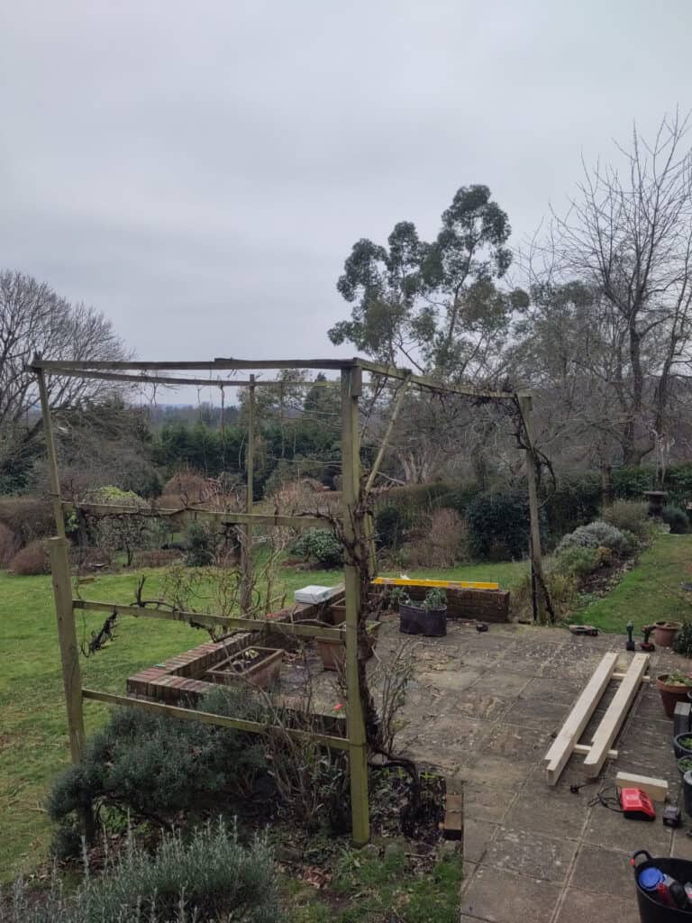 Principle Carpentry - Quirky Pergola (before)