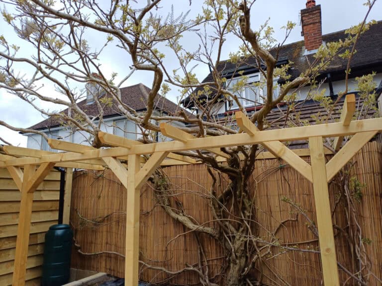Principle Carpentry - Softwood Pergola