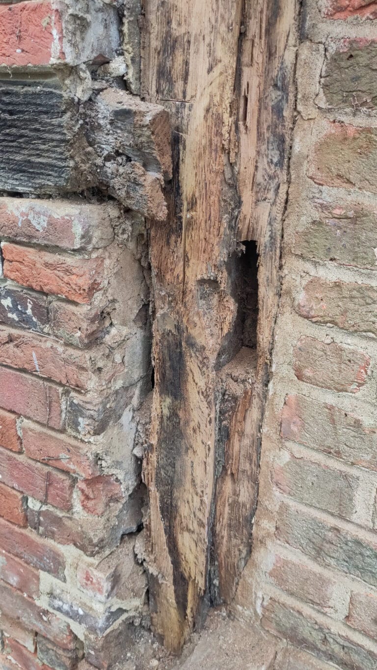 Principle Carpentry - Tudor House Restoration - Rotten Post