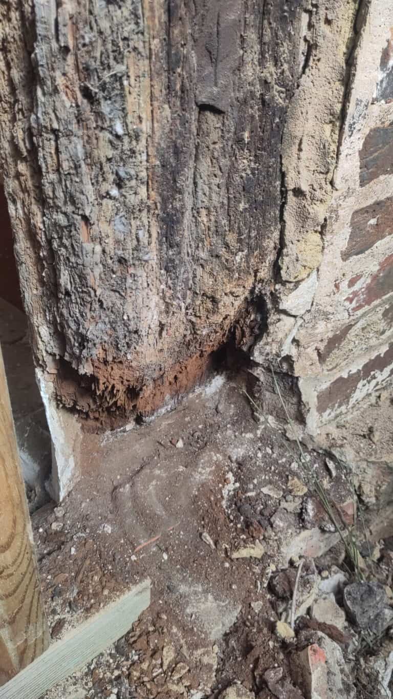 Principle Carpentry - Tudor House Restoration - Rotten Post